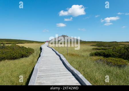 Passerella pedonale in legno che conduce attraverso la torbiera di montagna, sfondo Snezka Repubblica Ceca, i Monti giganti Parco Nazionale di Krkonose Foto Stock