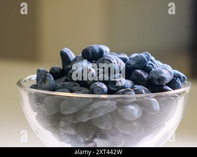 Uno shot ravvicinato di una ciotola di vetro riempita di frutti di miele freschi e succulenti (Lonicera caerulea), che mostrano il loro colore blu vivace e la loro forma unica. Foto Stock