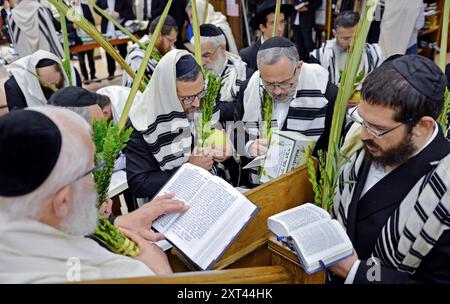 Uomini religiosi ebrei che benedicono l'Esrog e Lulv durante la festa ebraica di Sukkot in una sinagoga Chabad a Brooklyn, New York. Foto Stock