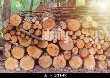 Magazzino di legna da ardere in campagna. Scorta di legna da ardere. Tronchi di pino tagliati freschi di legna presso la segheria. Sfondo in legno naturale. Foto Stock