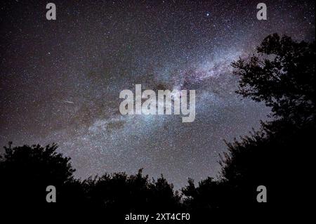 Guarda lo spazio dell'universo di una galassia dalla via lattea con stelle sullo sfondo del cielo notturno. La via Lattea è la galassia che contiene il nostro sistema solare. Foto Stock