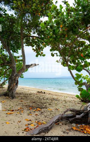 Il lato paradisiaco di Haiti: Cieli blu, sabbia bianca incontaminata e acque calde cristalline rivelano la vera bellezza dell'isola Foto Stock