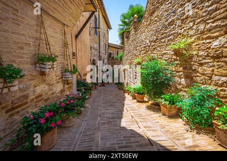 Vista sulla strada della città medievale di Spello in Umbria Foto Stock