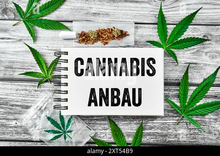 13 agosto 2024: Quaderno con l'iscrizione: Coltivazione di cannabis, circondata da foglie di canapa, un giunto. FOTOMONTAGGIO *** Notizbuch mit der Aufschrift: Cannabis Anbau, umgeben von Hanfblättern, einem Joint. FOTOMONTAGE Foto Stock