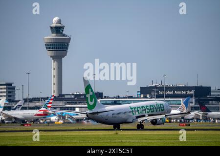 Transavia Boeing 737-800, aeromobili che atterrano all'aeroporto Schiphol di Amsterdam, Buitenveldertbaan, 09/27, torre di controllo del traffico aereo, terminal, Paesi Bassi, Foto Stock