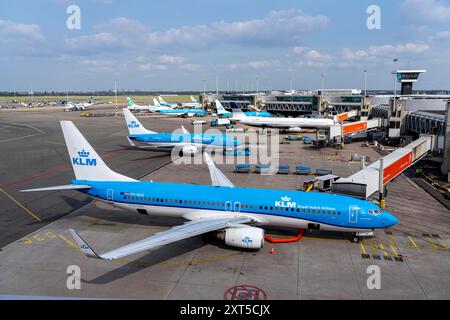 Aeroporto Schiphol di Amsterdam, aeroplani al terminal, Gate D, check-in, piazzale, Amsterdam, paesi Bassi Foto Stock