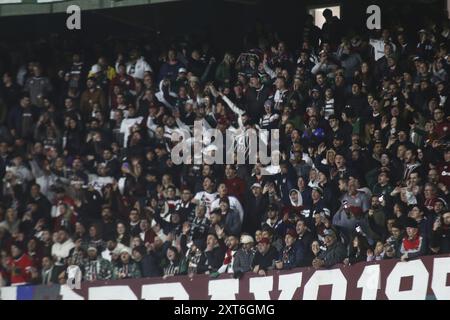 Curitiba, Brasile. 13 agosto 2024. PR - CURITIBA - 08/13/2024 - COPPA LIBERTADORES 2024, GREMIO x FLUMINENSE - tifosi Fluminense durante la partita contro Gremio allo stadio Couto Pereira per il campionato di Coppa Libertadores 2024. Foto: Gabriel Machado/AGIF credito: AGIF/Alamy Live News Foto Stock