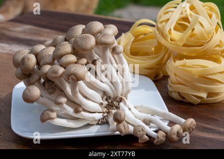 Preparando la pasta alle tagliatelle con shimeji bruni funghi commestibili, il buna-shimeji è ampiamente coltivato e ricco di composti per la degustazione di umami, cibo vegetariano Foto Stock