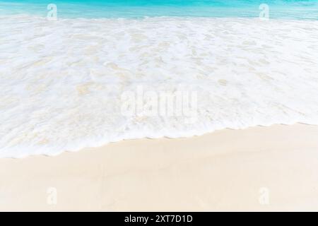 Un'onda bianca e soffice lambisce delicatamente la spiaggia di sabbia, creando un ambiente rilassante e tranquillo. Paesaggi tropicali astratti Foto Stock