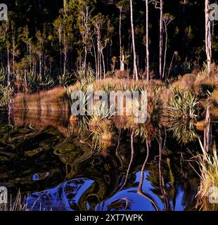 Mahinapua Creek che conduce al lago Mahinapua, Hokitika, costa occidentale, isola meridionale, Aotearoa / nuova Zelanda. Foto Stock