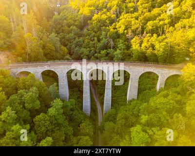 Il ponte ferroviario in pietra di Zampach si arrocca graziosamente su un lussureggiante paesaggio verde, che si fonde nel bosco circostante in Cechia, mostrando l'armonia della natura e dell'ingegneria. Foto Stock