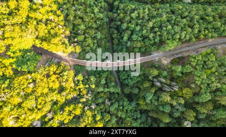 Una vista aerea rivela il ponte ferroviario in pietra di Zampach che si snoda graziosamente su una lussureggiante foresta verde, mescolandosi con il vivace fogliame della Cechia durante una giornata di sole. Foto Stock