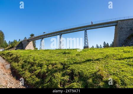 Una vecchia linea ferroviaria sul Rigi, insieme ai suoi ponti, funge da sentiero escursionistico. Vitznau, Lucerna, Svizzera Foto Stock