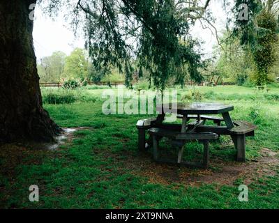 Un rustico tavolo da picnic in legno si siede tranquillamente sotto un grande albero, circondato da vibranti prati verdi e alberi. Il terreno è leggermente bagnato dalle recenti piogge Foto Stock