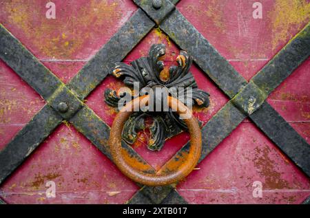 Elemento decorativo artistico su una vecchia porta in metallo arrugginito. Bussano alla porta. Foto Stock