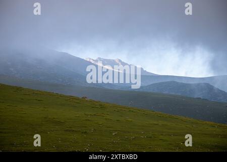 Peer Ki Gali, India, 14/08/2024, vista generale delle montagne durante una giornata nuvolosa vicino al passo PIR Panjal, chiamato anche Peer Ki Gali, a circa 100 km a sud di Srinagar, la capitale estiva di Jammu e Kashmir. Il passo PIR Panjal è un passo di montagna e una destinazione turistica situata nella catena PIR Panjal di Jammu e Kashmir, che collega la valle del Kashmir ai distretti di Rajouri e Punch tramite Mughal Road. È il punto più alto della strada Mughal a 3.490 metri sul livello del mare. Mughal Road, come suggerisce il nome, è stata storicamente creata e utilizzata dagli imperatori moghul. Era la strada che Akbar Foto Stock