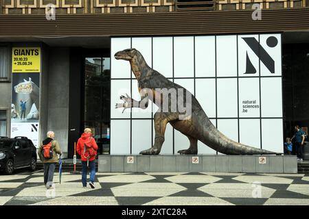 I visitatori si avvicinano all'ingresso del Museo di storia naturale di Bruxelles, Belgio Foto Stock