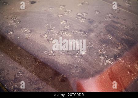 primo piano della polvere sul cofano della vettura. Strati di polvere accumulati sul cofano dell'auto. Foto Stock