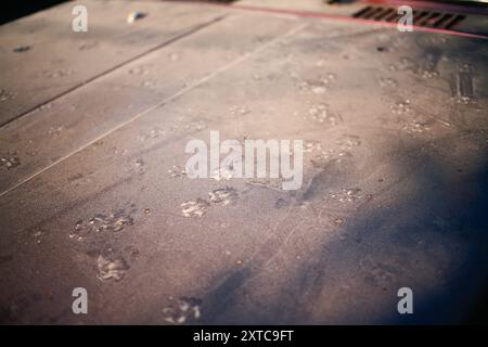 primo piano della polvere sul cofano della vettura. Strati di polvere accumulati sul cofano dell'auto. Foto Stock