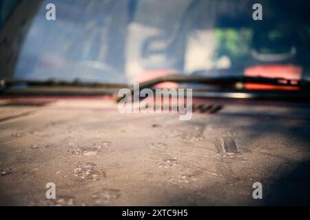 primo piano della polvere sul cofano della vettura. Strati di polvere accumulati sul cofano dell'auto. Foto Stock