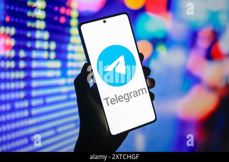 Paraguay. 14 agosto 2024. In questa immagine, il logo Telegram viene visualizzato sullo schermo di uno smartphone. (Foto di Jaque Silva/SOPA Images/Sipa USA) *** esclusivamente per notizie editoriali *** credito: SIPA USA/Alamy Live News Foto Stock