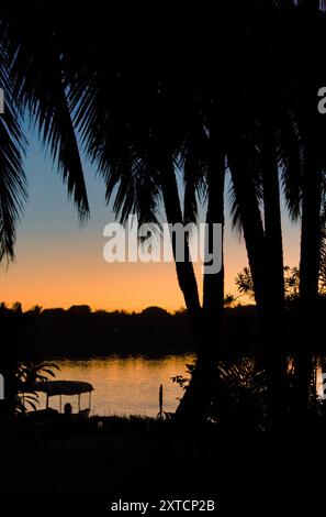 Cielo serale in riva al mare dietro le piante tropicali a Vatomandry, Madagascar. Foto Stock