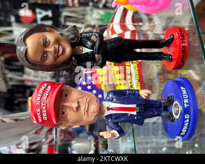MERCHANDISING PER LA CAMPAGNA PRESIDENZIALE AMERICANA NEI NEGOZI DI NEW YORK Foto Stock