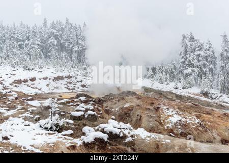 Geyser in battello a vapore in inverno con vapore vulcanico sulla neve, parco nazionale di Yellowstone, Wyoming, Stati Uniti. Foto Stock