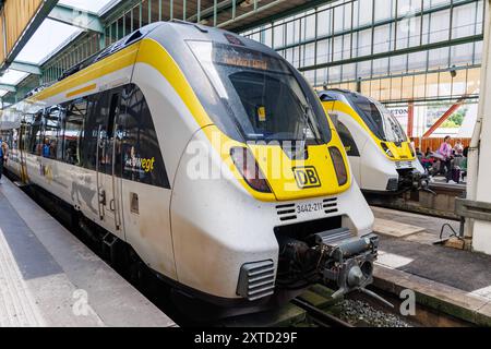 Bombardier Talent Regionalbahn Regionalzug der DB Regio und SWEG im Hauptbahnhof a Stoccarda, Deutschland Stuttgart, Deutschland - 25. Mai 2024: Bombardier Talent Regionalbahn Regionalzug der DB Regio und SWEG im Hauptbahnhof a Stoccarda, Germania. *** Treno regionale Bombardier Talent Regionalbahn di DB Regio e SWEG presso la stazione centrale di Stoccarda, Germania Stoccarda, Germania 25 maggio 2024 treno regionale Bombardier Talent Regionalbahn di DB Regio e SWEG presso la stazione centrale di Stoccarda, Germania Foto Stock