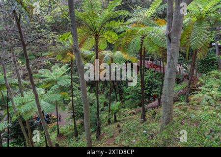 Passeggia intorno al Monte Palace Tropical Garden sull'isola di Madeira, Portogallo Foto Stock