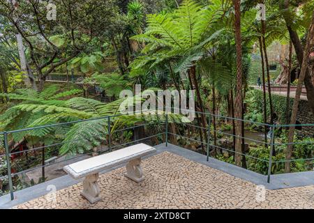 Passeggia intorno al Monte Palace Tropical Garden sull'isola di Madeira, Portogallo Foto Stock