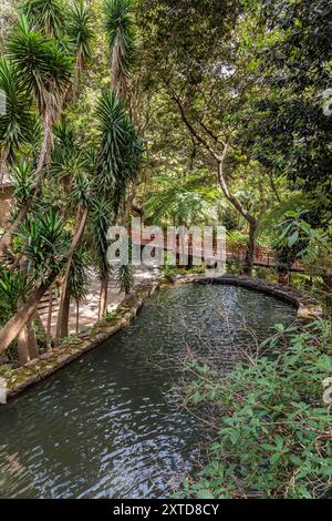 Passeggia intorno al Monte Palace Tropical Garden sull'isola di Madeira, Portogallo Foto Stock