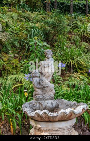 Passeggia intorno al Monte Palace Tropical Garden sull'isola di Madeira, Portogallo Foto Stock