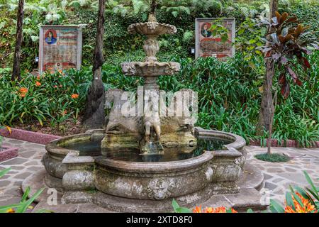 Passeggia intorno al Monte Palace Tropical Garden sull'isola di Madeira, Portogallo Foto Stock