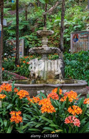 Passeggia intorno al Monte Palace Tropical Garden sull'isola di Madeira, Portogallo Foto Stock