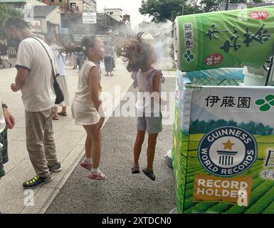 CALDO ESTREMO IN GIAPPONE COME RAFFREDDARSI AL TEMPIO SENSO-JI Foto Stock