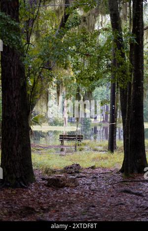 Panca per stagno dopo la pioggia Foto Stock