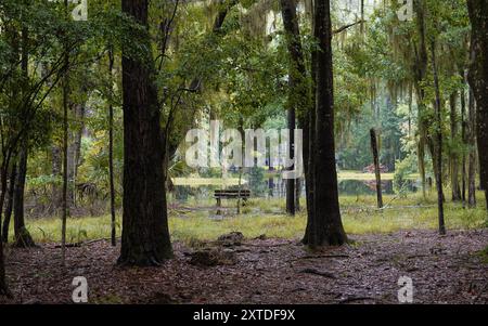 Panca per stagno dopo la pioggia Foto Stock