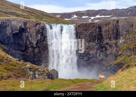 La cascata alta 27 metri 'Gufufoss', Seydisfjordur, Islanda orientale a fine maggio. Foto Stock