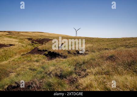 Singola pecora e singola turbina eolica a Scout Moor, Lancashire. Foto Stock