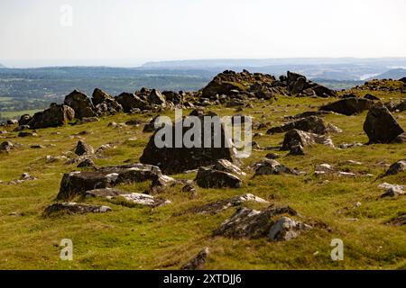 Vista dalla cima del Cox Tor, con sullo sfondo la Tamrar Valley e il Burrator Resevoir, in alto a destra, Dartmoor, Dorset, Regno Unito Foto Stock