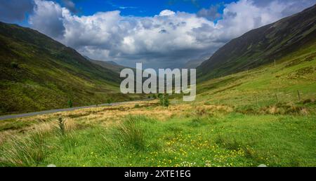 Glen Docherty si estende tra torreggianti colline sotto un cielo nuvoloso, mostrando la serena bellezza della natura. Foto Stock