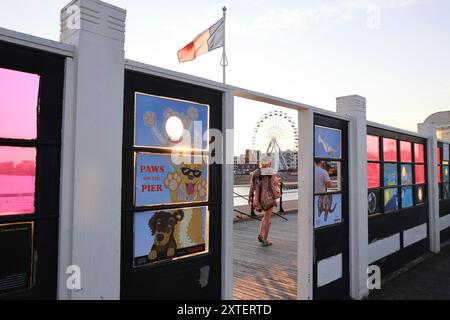 Art on the Pier, un'innovativa galleria all'aperto creata da Creative Waves on Worthing Pier, un'attrazione culturale molto amata, nel West Sussex, Regno Unito. Foto Stock