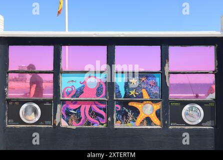 Art on the Pier, un'innovativa galleria all'aperto creata da Creative Waves on Worthing Pier, un'attrazione culturale molto amata, nel West Sussex, Regno Unito. Foto Stock