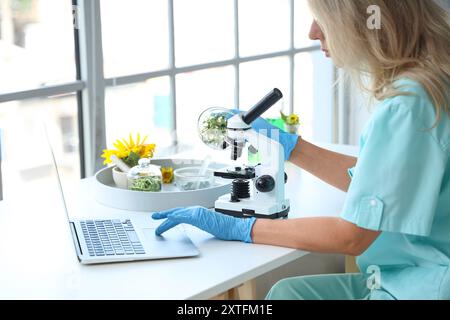 Scienziata donna con germogli di girasole e computer portatile che lavora in laboratorio Foto Stock