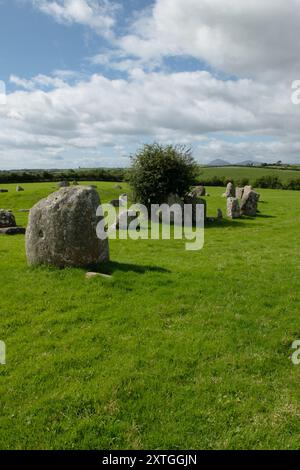 Ballynoe Stone Circle, County Down, Irlanda del Nord Foto Stock