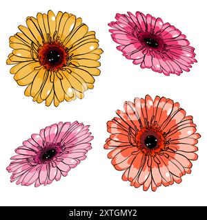 Illustrazione vettoriale con fiori colorati di gerbera in tecnica piatta isolata su bianco Illustrazione Vettoriale