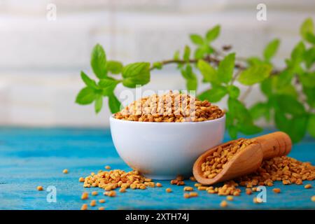 Semi di fieno greco in una ciotola su sfondo blu con foglie verdi Foto Stock