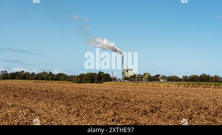 Raffineria di canna da zucchero che elimina il fumo durante la trasformazione della canna in zucchero greggio per uso da parte dei consumatori. Foto Stock