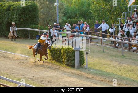 Cavaliere che carica a cavallo con lancia durante il torneo di giostra al festival medievale Giostra di Simone, Montisi, Montalcino, provincia di Siena, italia Foto Stock